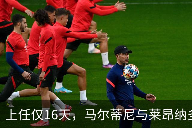 上任仅16天，马尔蒂尼与莱昂纳多辞去意大利足协职务