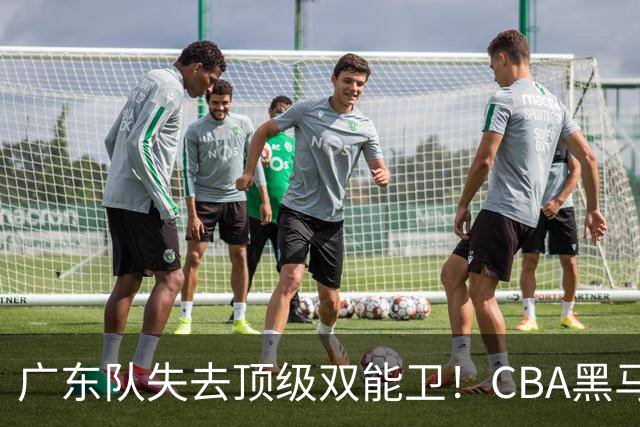 广东队失去顶级双能卫！CBA黑马意外捡漏，朱芳雨面临惨痛亏损