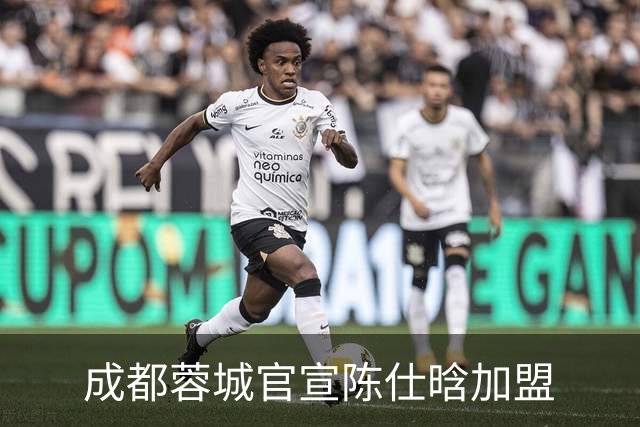 成都蓉城官宣陈仕晗加盟
